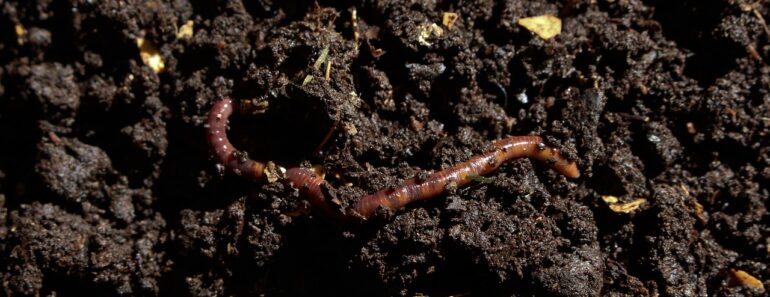 the way to make topsoil from scratch in 2024.