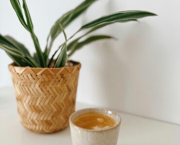 Are coffee grounds good for indoor plants?